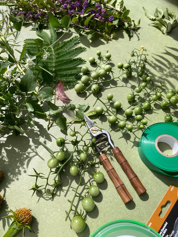 Unripe cherry tomatoes for flower crowns.