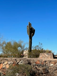 Travel Dispatches: Taliesen West