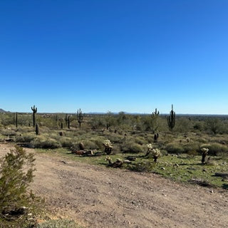 Travel Dispatches: Taliesen West