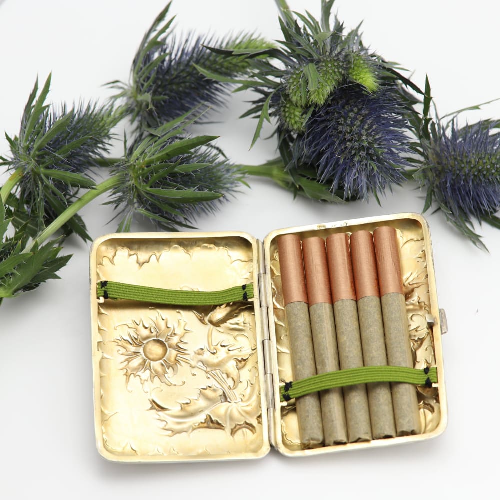 Art Nouveau Blue Thistle Silver Cigarette Case circa 1900 - Golconda Jewelry