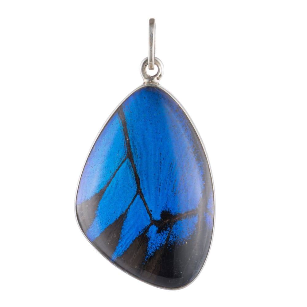 Cobalt Hindwing Pendant - Golconda Jewelry