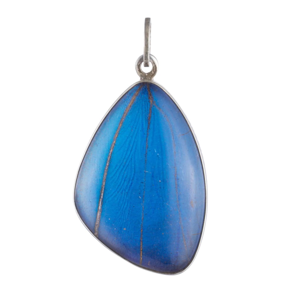Morpho Hindwing Pendant - Golconda Jewelry